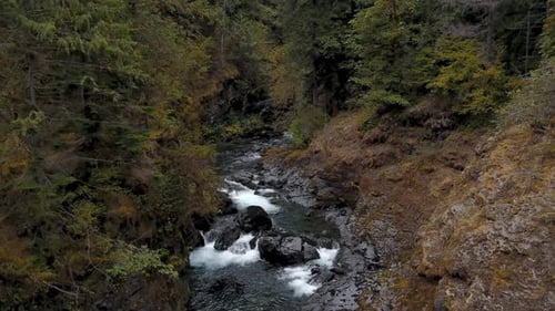 Waldfluss fließt durch den Wald in den Bergen.