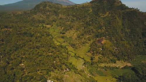Berglandschaft Farmlands Village Bali Indonesien
