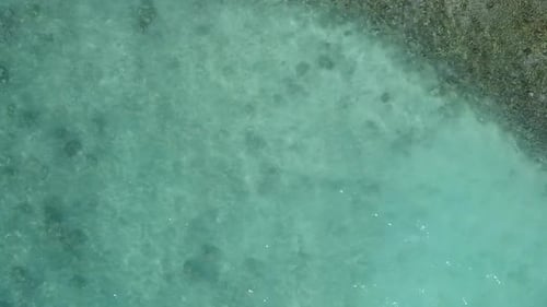 Aerial view travel of seashore beach wildlife by blue ocean with sand background