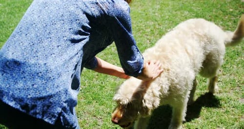 Mature woman petting her dog in the garden 4k