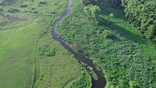 Fluss und grüne Felder auf dem Land