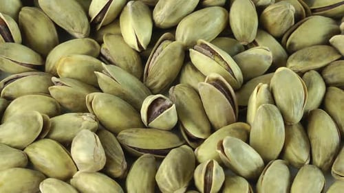 Pile of Fresh Pistachios in Shell Close Up