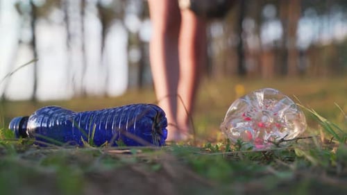 Anonymous Volunteer Picking Litter In Forest