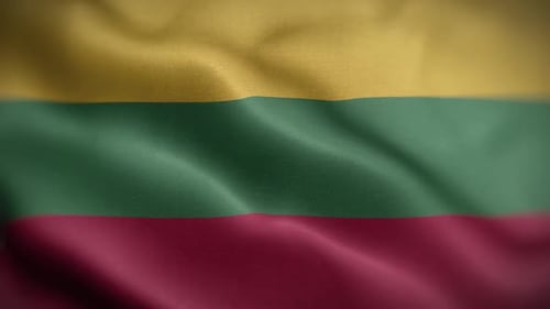 Seamless Loop of Waving Lithuanian Flag Fabric