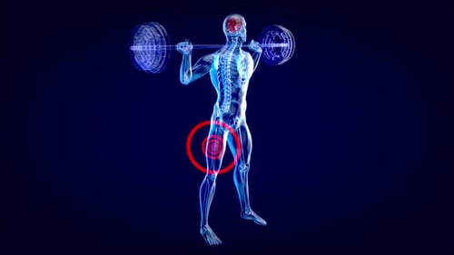 Human Skeleton Squats with Barbell Highlighting Joint Pain