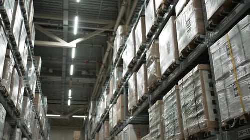 Étagères hautes avec boîtes sur étagères enveloppées de polyéthylène