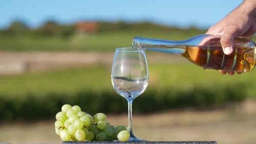 Pouring White Wine