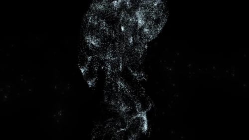 Ethereal Particle Swirl Logo Reveal