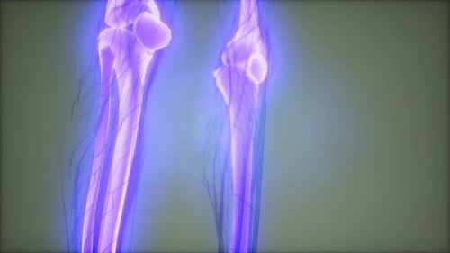 Futuristic Digital Scan of Human Skeleton and Veins