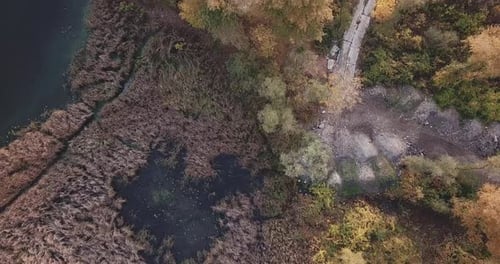 Descenso sobre el lago con una hermosa vista del parque de otoño y de las palomas blancas que vuelan en círculos