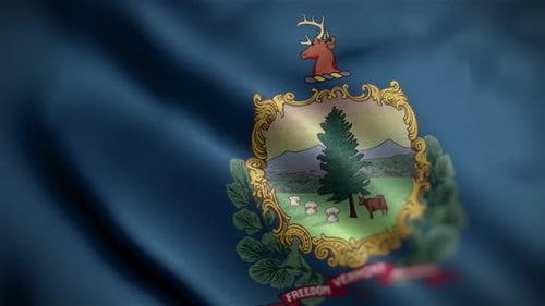 Realistic Waving Vermont State Flag Animation
