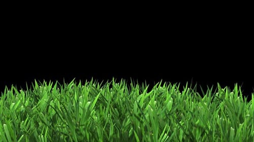 Green Grass