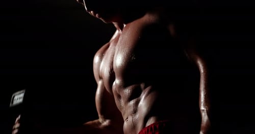 A man with a beautiful body, sexy press, in the gym, does an exercise for biceps using a dumbbell