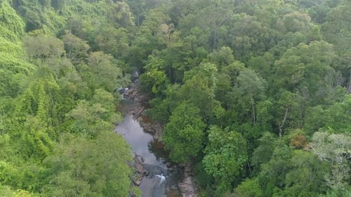 Flying Drone over River in Jungle