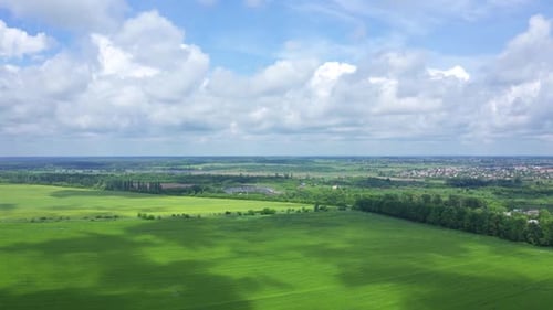 Wunderschönes Fliegen in der Natur inmitten der Wolken