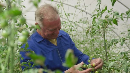 Mature man working on farm