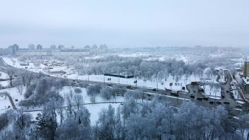 Winter city garden. Trees in the snow. Flying over a snow-covered park. Aerial photography.