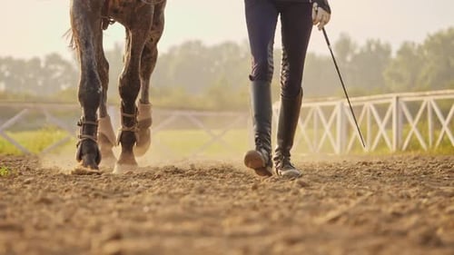 Super Zeitlupe eines jungen Jockey-Mädchens führt ihr Pferd bei Sonnenuntergang in die Arena.