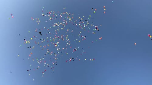 Many Colorful Balloons Floating Skyward Together