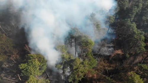 Aerial View From the Top of the Forest That Is Burning. A Large Area of Forest Is Burning. Fire in