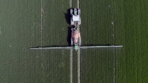 Tractor Spreads Fertilizer on Green Field, Aerial View