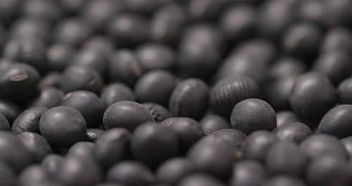 Close Up of Shiny Dry Black Beans