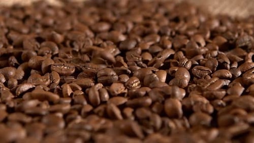Falling Roasted Coffee Beans Close Up