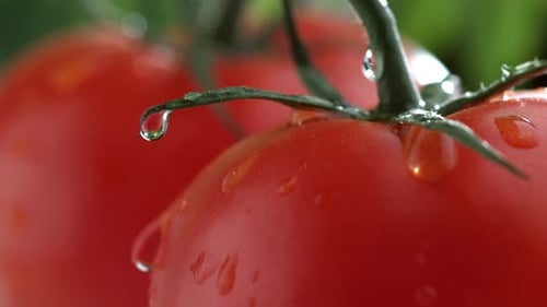 Extreme close-up of water drip on tomato in slow motion; shot on Phantom Flex 4K at 1000 fps
