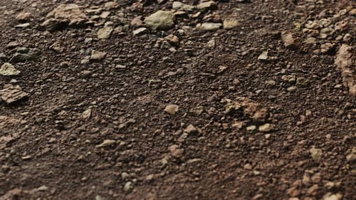 Closeup of Dirty Ground Road