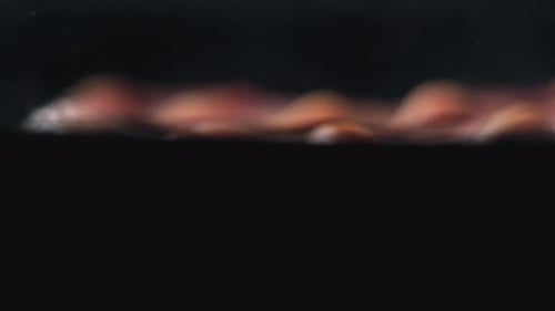 Camera follows adding dried herb on bacon cooked on grill. Slow Motion.