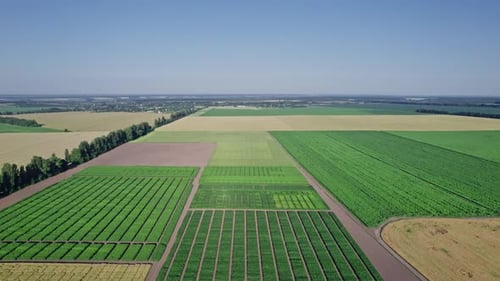 Rural Scenery Farm