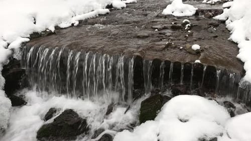 A Mountain Stream Flows Among Stones and Trees in the Carpathian Mountains