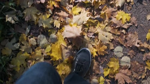 Shoes of Man Walking on Path with Colorful Leaves