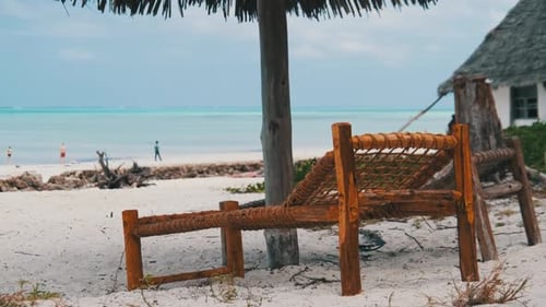 Tropical Deck Chairs Under Thatched Umbrellas at Sandy Beach By Ocean Zanzibar