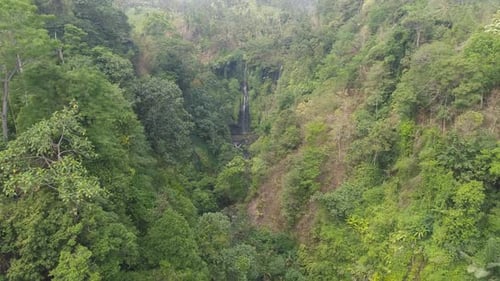 Tropical Waterfall Surrounded By Lush Green Forest