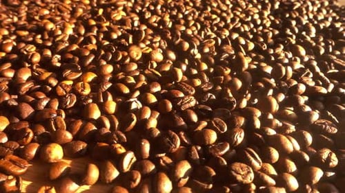 Roasted Coffee Beans Piled Together