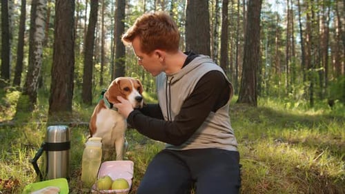 Man Petting Beagle During Sunny Picnic in Forest