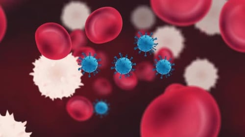 Medical Animation of Bloodstream with Red Cells and Viruses Flowing