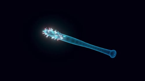 Baseball Bat With Nails Hologram Rotating Hd