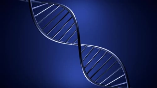 Twisting 3d Spiral of Dna