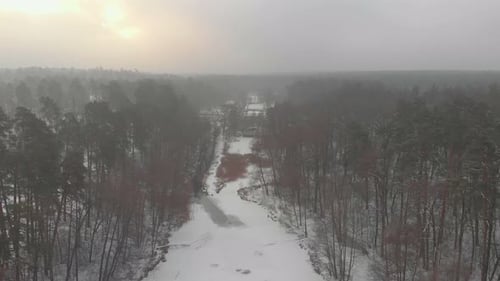 Winterwald im Nebel