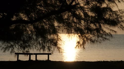 Sunset Relax Time on Beach