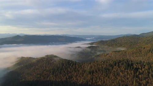 Aerial View of Fog Shrouded Mountain Forest