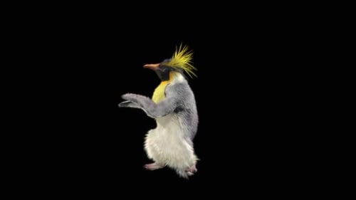Penguin Dancing HD