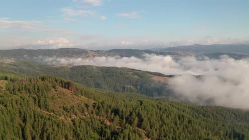 Verdant Mountain Forest Landscape with Clouds