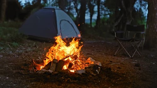 Camp Fire (4K)