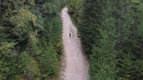 Backpacker Walks Dirt Trail Through Dense Green Forest