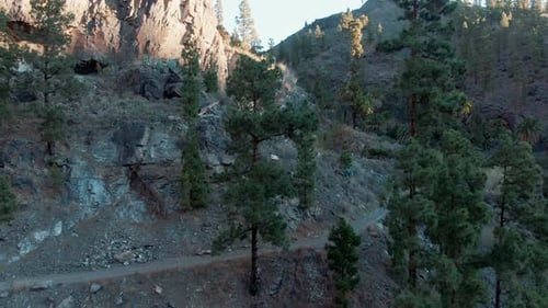 Green Trees Dotted on Mountain Landscape