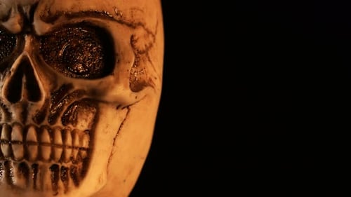 Macro shot of weathered human skull in shadow