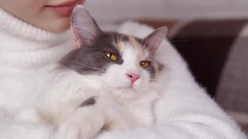 Teen Hugs Cat